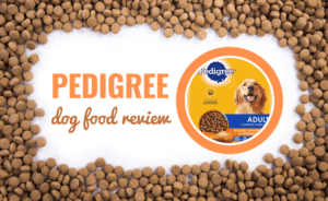 Dog Food Brands Review