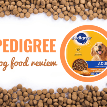 Dog Food Brands Review