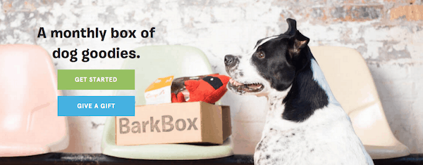 dog subscription box
