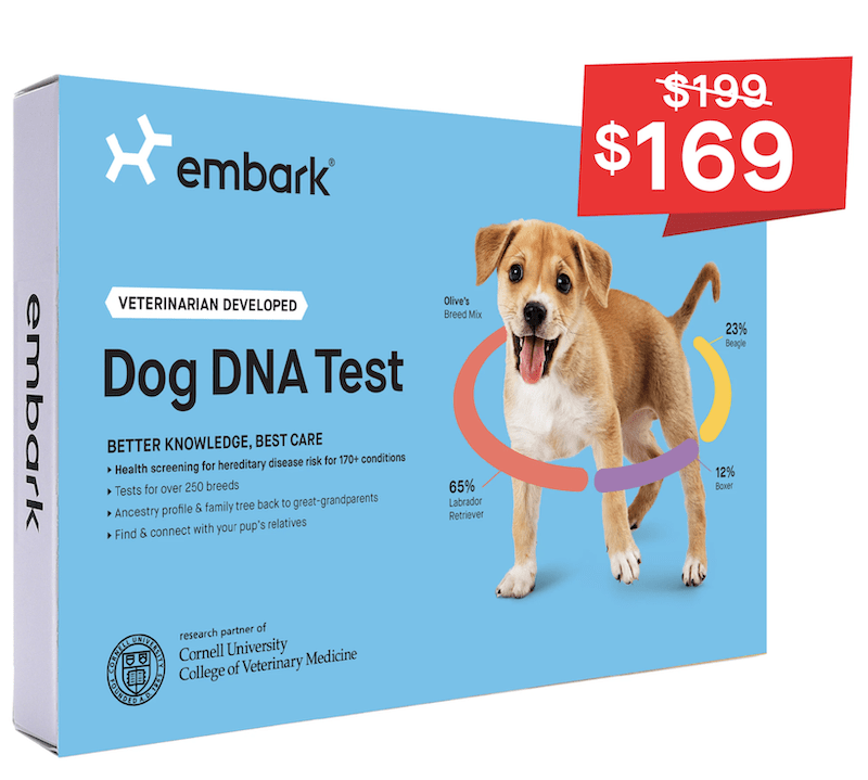 embark breed and health