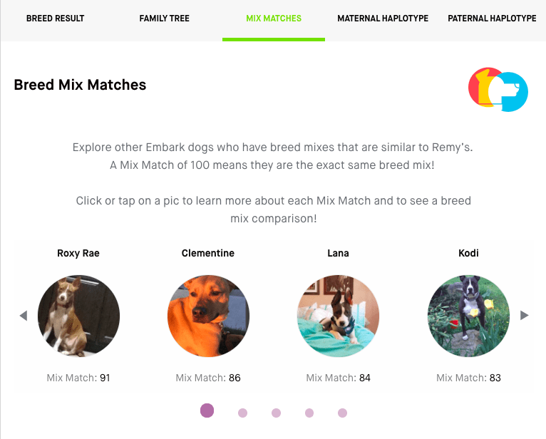 embark breed matches