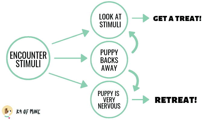 encounter-stimuli-puppy-challenge