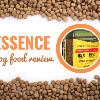 essence-review