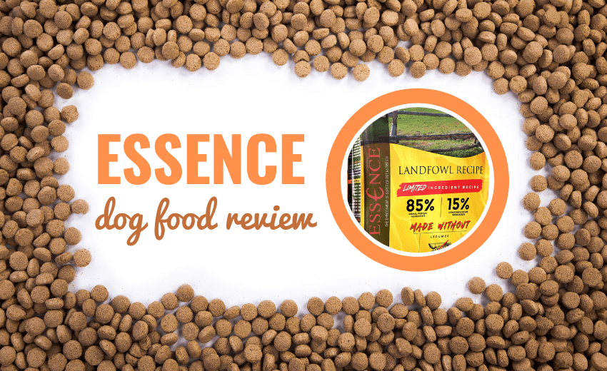 essence-review