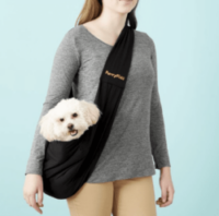 Bichon in dog sling