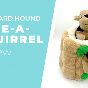 hide-a-squirrel-review