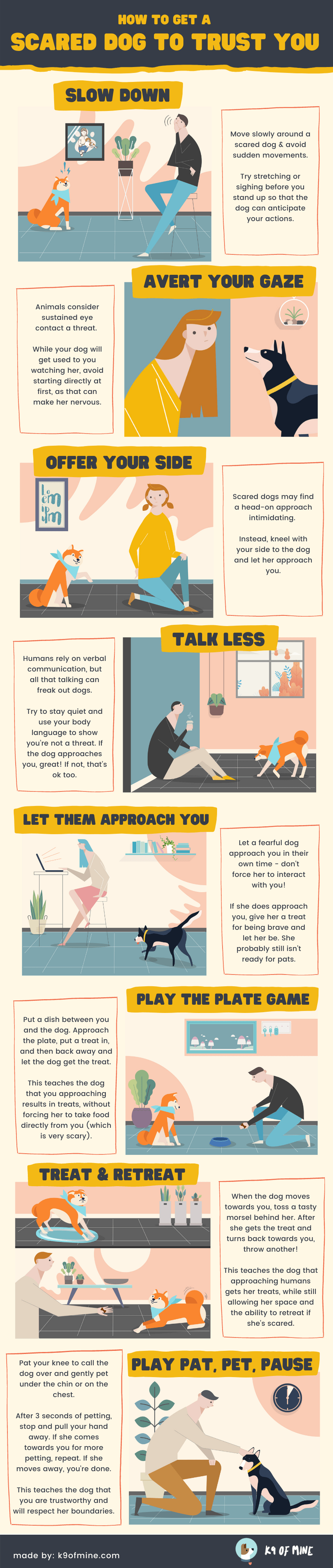 scared dog to trust infographic