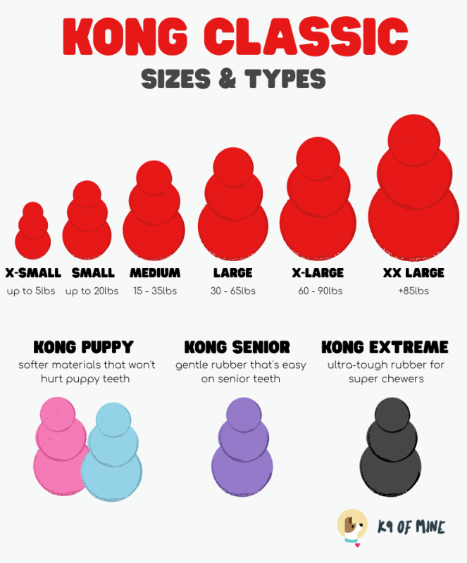 kong sizes