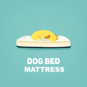 mattress-dog-bed