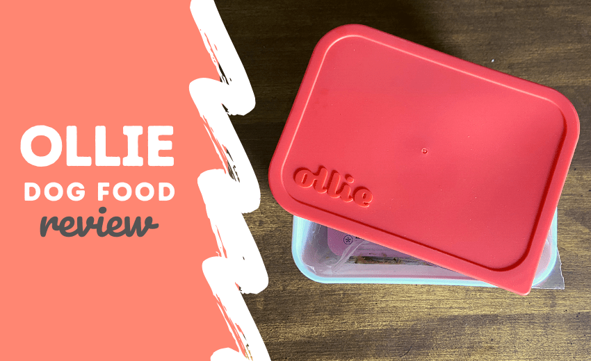 ollie dog food review