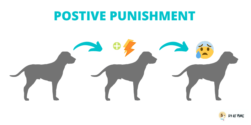 positive punishment dog training