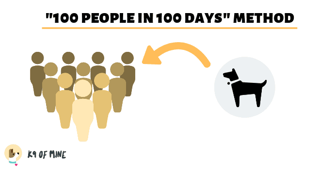 puppy-socialization-100-people
