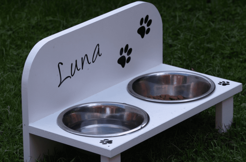 best raised dog bowls