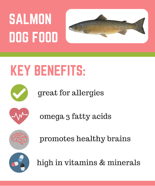 salmon dog food chart