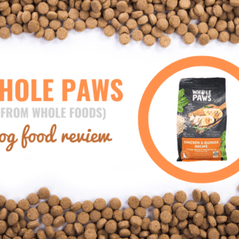 whole-paws-whole-foods