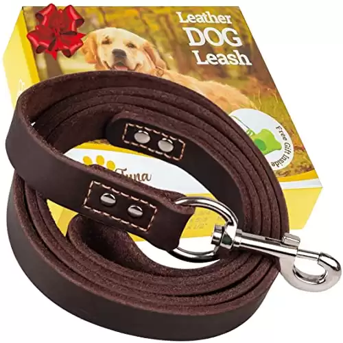 ADITYNA Heavy Duty Leather Dog Leash