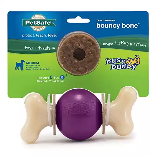 PetSafe Bouncy Bone