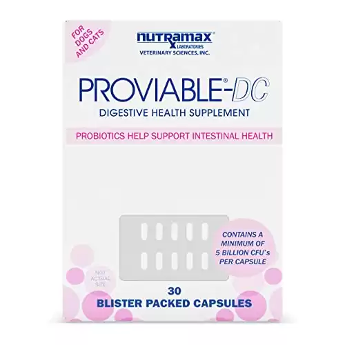 Nutramax Multi-Strain Probiotics and Prebiotics
