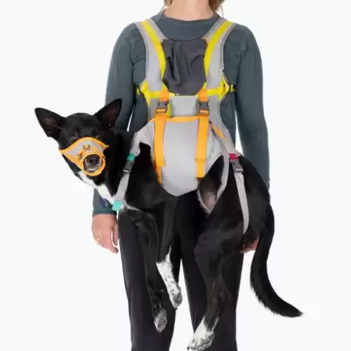BackTrak Dog Evacuation Kit