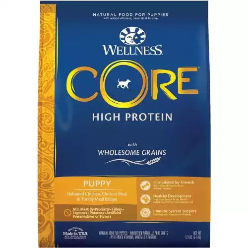 Wellness Core Wholesome Grains Puppy